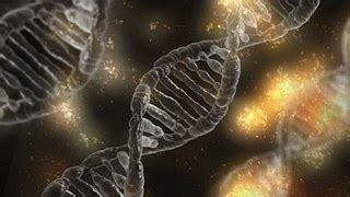Amino Acid Supplements Explained
